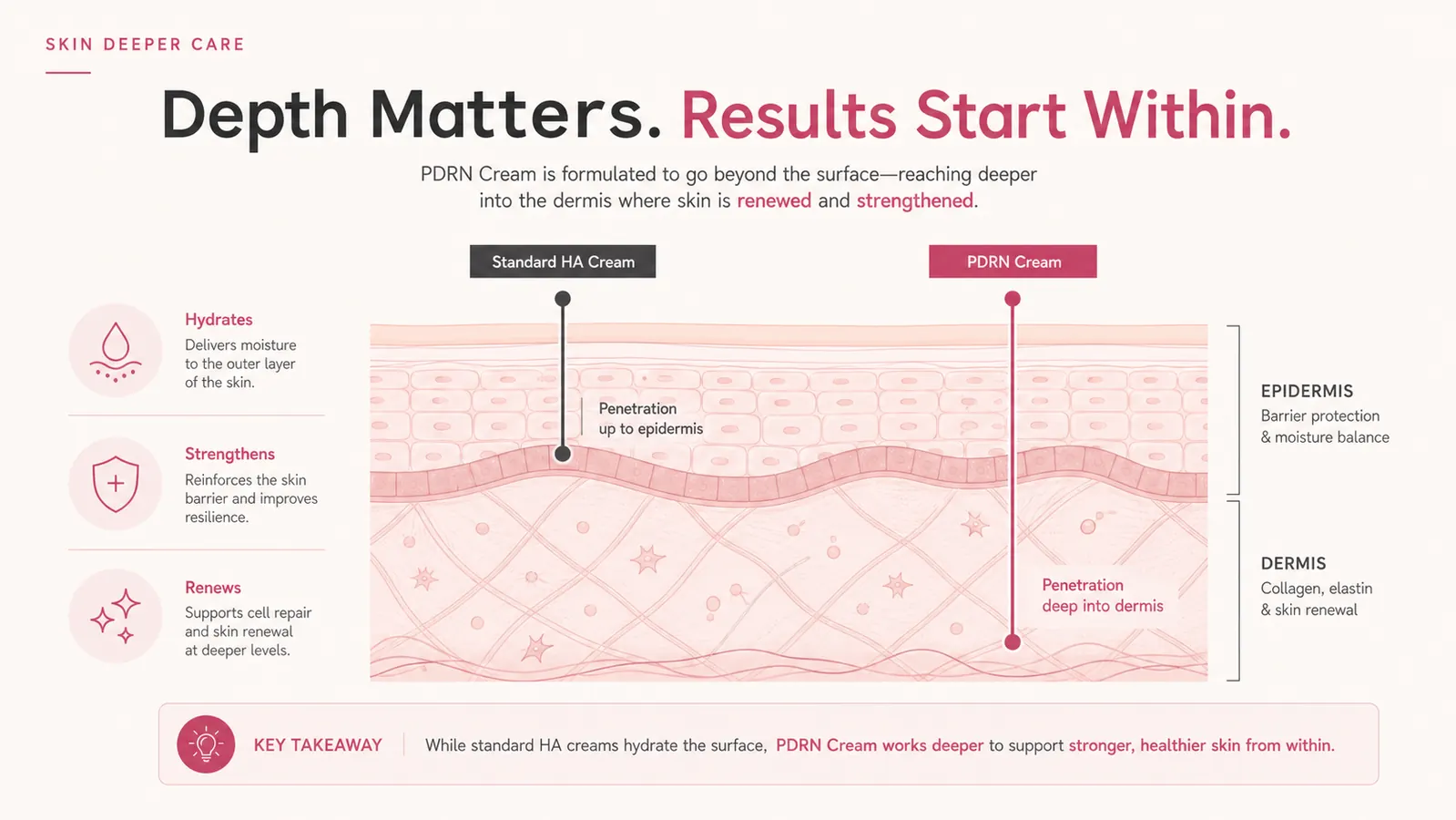 Diagram comparing penetration depth of PDRN versus standard hyaluronic acid in skin layers
